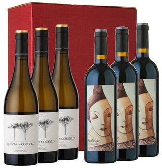 Spectacular Spain Wine Gift Set - Galena Priorat & Quinta de Couselo Rosal Albariño in a 6 bottle red gift carton