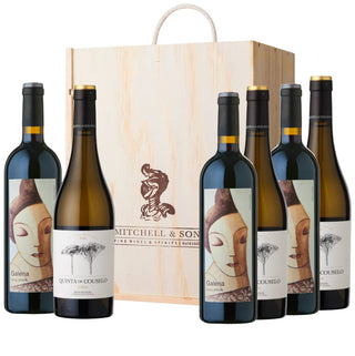 Spectacular Spain Wine Gift Set - Galena Priorat & Quinta de Couselo Rosal Albariño in a 6 bottle wooden gift box