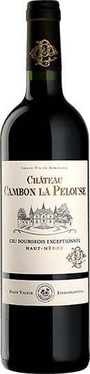Chateau Cambon La Pelouse 2018