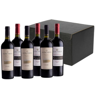 Mendoza Masters Wine Gift: Alta Vista Premium & Terroir Malbec in 6 bottle hamper carton