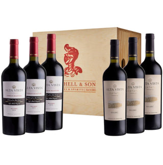 Mendoza Masters Wine Gift: Alta Vista Premium & Terroir Malbec in 6 bottle wooden box