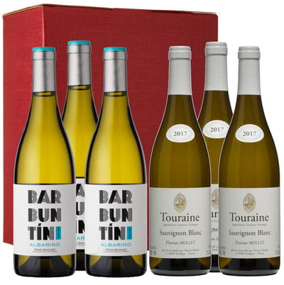 Blanc Canvas: Florian Mollet Touraine Sauvignon Blanc & Barbuntin Albariño