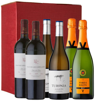 Vine of the Times Wine Gift Set: Parés Baltà Vintage Brut Cava, Turonia Albariño and Pago de los Capellanes Crianza in a 6 bottle red gift carton