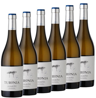 Turonia Albariño | Case of 6